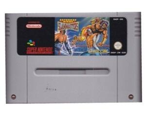 Saturday Night Slammasters (SNES)