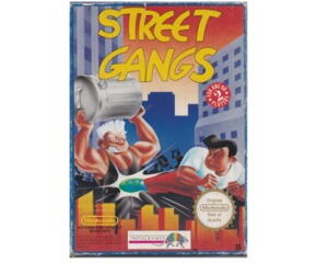 Street Gangs (scn) m. kasse (slidt) og manual (NES)
