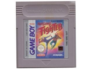 Raging Fighter (GameBoy)