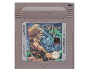 Wizard & Warriors X : Fortress of Fear (GameBoy)
