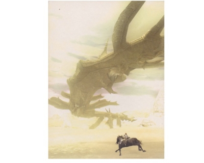 Shadow of the Colossus u. manual og papcover (PS2)