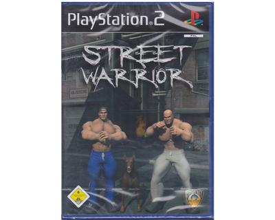 Street Warrior (PS2)
