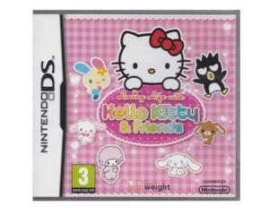 Hello Kitty & Friends (Nintendo DS)
