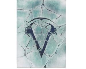 Assassin's Creed : Rogue (collectors edition) u. omslag (PS3)