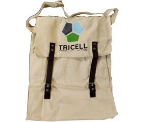 Resident Evil 5 Collector's Edition u. kasse (PS3)