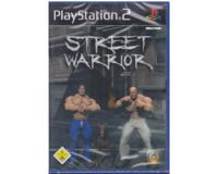 Street Warrior (PS2)