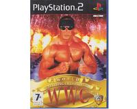 World Wrestling Championship u. manual (PS2)