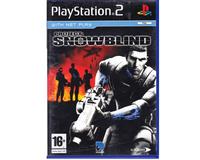 Project : Snowblind (PS2)